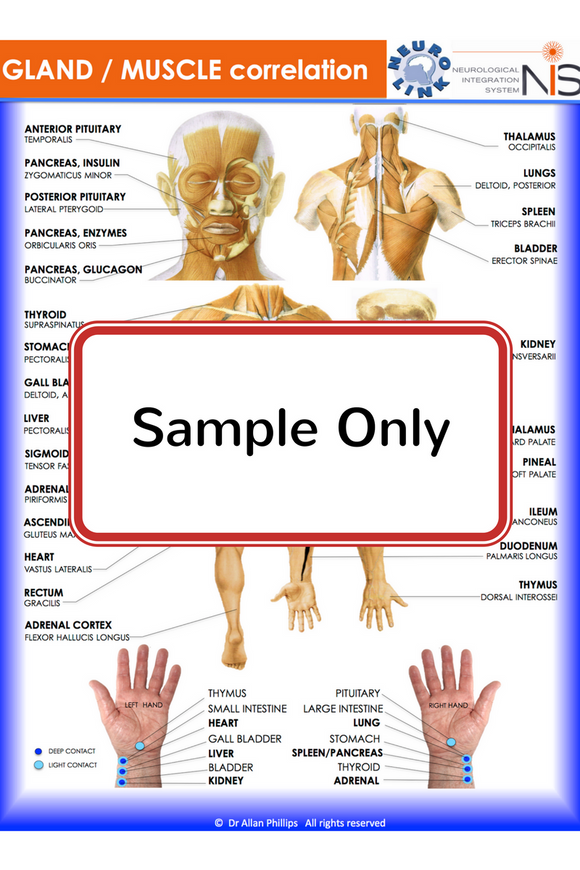 NIS Gland/Muscle Correlation - A3 Wall Chart